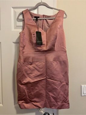 Escada Dusty Rose Sleeveless Sheath Dress